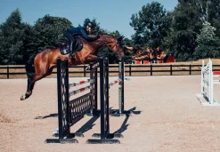 Springschabracke Silver