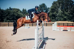 Springschabracke White