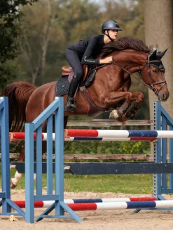 Springschabracke Modern