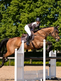 Springschabracke Modern