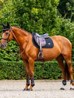 Springschabracke Modern Mesh