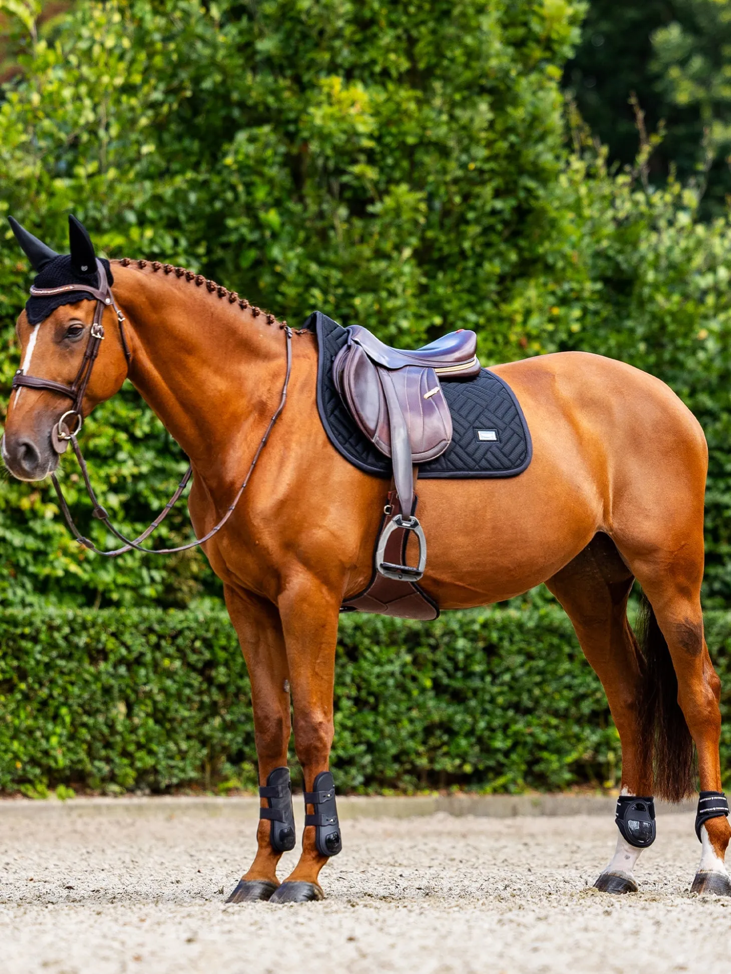 Springschabracke Modern Mesh