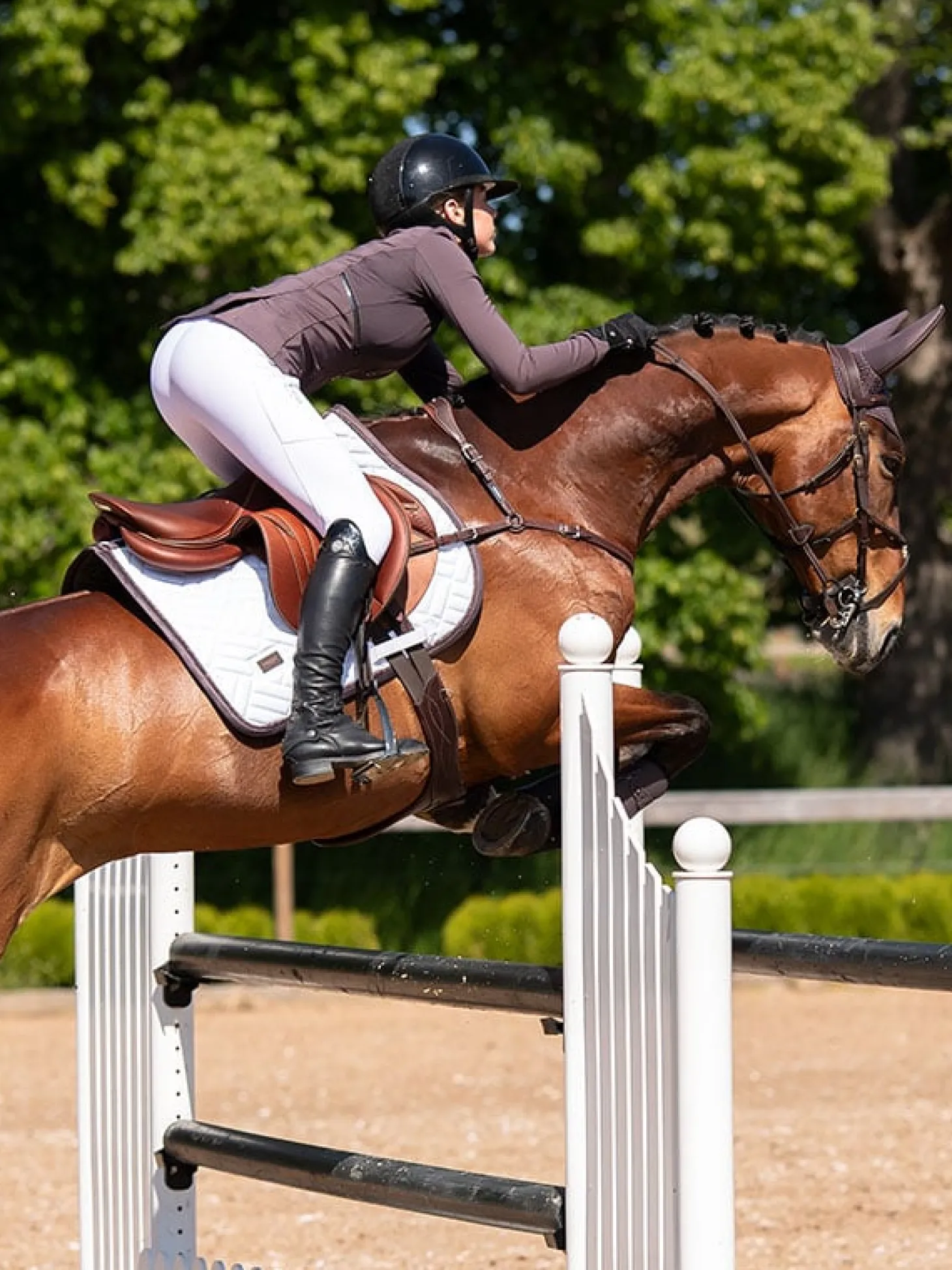 Springschabracke Modern White