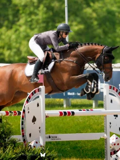 Springschabracke Modern White