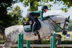 Springschabracke Performance