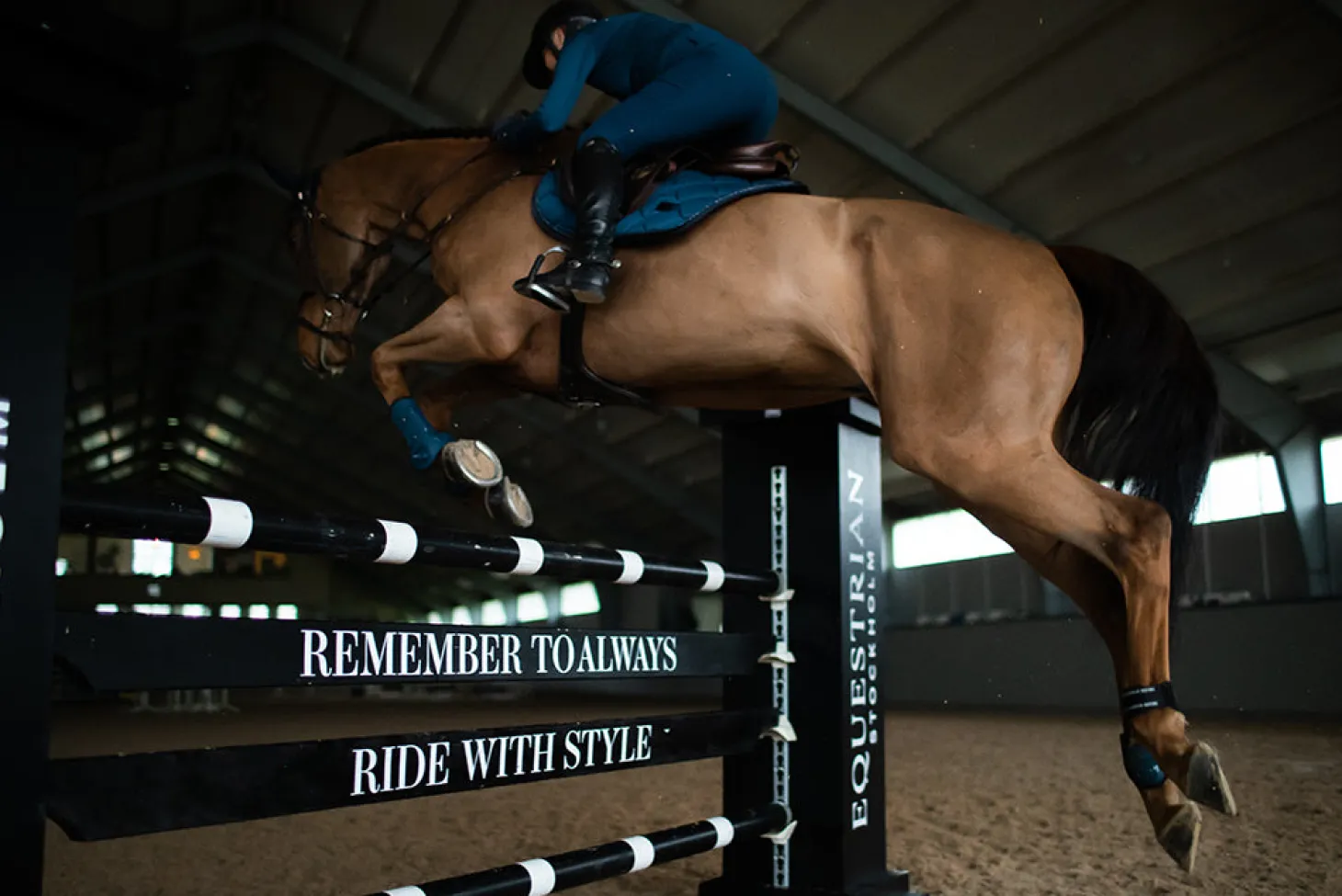 Streichkappen Anatomische Fetlock Boots