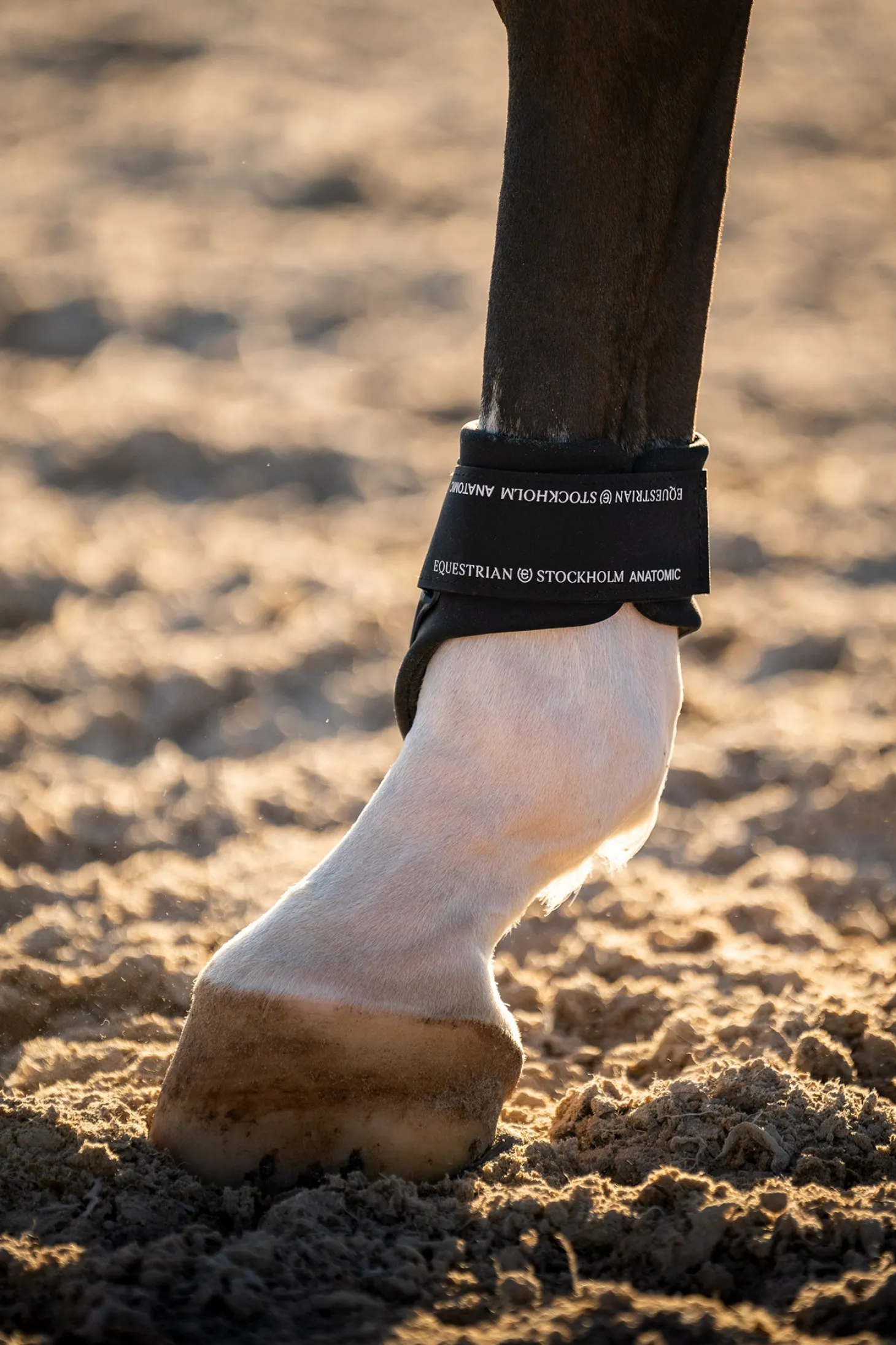 Streichkappen Anatomische Fetlock Boots